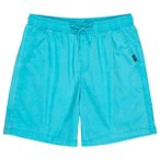 Quiksilver - Taxer Walkshort - Shorts Gr S türkis