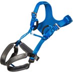 Ocun Doppler Komplettgurt Kinder  Klettergurt blau Größe ONE SIZE Sportkletter
