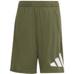 ADIDAS Kinder Shorts TRAIN ESSENTIALS BIG LOGO SHORTS, Größe 128 in Grün