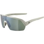 ALPINA Herren Brille TURBO HR Q-LITE, Größe ONE SIZE in Grau