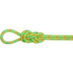 Mammut 8.0 Alpine Core Protect Dry 50m Halbseil Unisex ( Hellgrün 50 Größe,)