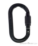 Edelrid Oval Power 2500 Permalock Karabiner-Schwarz-One Size