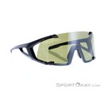 Alpina Hawkeye Q-Lite Sonnenbrille-Schwarz-One Size