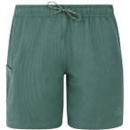 PROTEST Damen Badeshorts PRTAgaat 25, Größe 36 in Grau