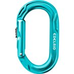 Edelrid Kiwi Slider Karabiner  Karabiner tuerkis Größe One Size Alpinklettern