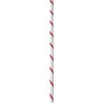 Edelrid Static Low Stretch 10.5mm Statikseil  Statikseile weiss Größe 100m
