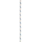 Edelrid Prostatic Synctec 10.5mm Statikseil  Statikseile weiss Größe 50M Alpin