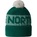 The North Face Retro Cabin Mütze (Größe ONE SIZE, gruen)