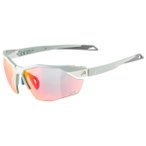 Alpina - Twist Six S HR QV Mirror S1-3 Fogstop - Fahrradbrille grau
