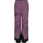 O'NEILL Damen Hose Gtx Mountain Madness Snow P, Größe XL in Lila
