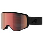 Alpina - Venet M Q S2 - Skibrille braun