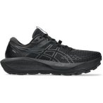 ASICS Herren Trailrunningschuhe GEL-Trabuco 13 GTX, Größe 50 ½ in Grau