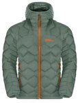 Jack Wolfskin Herren Alpspitze Down Hoody M