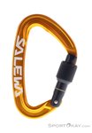 Salewa Ortles Screw Schraubkarabiner-Orange-One Size