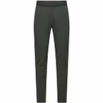 Salewa Pedroc Stormwall/Durastretch Wind Herren Wanderhose ( Oliv 52)
