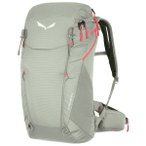 Salewa - Women's Alp Trainer 20 - Wanderrucksack grau