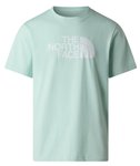 The North Face Herren Evolution Half Dome T-Shirt XL