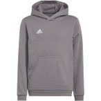 ADIDAS Kinder Kapuzensweat Entrada 22 Sweat, Größe 128 in Grau