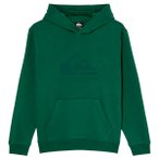 Quiksilver - Kid's Comp Logo Hoodie - Hoodie Gr 14 grün