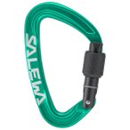 Salewa - Ortles Screw Carabiner - Schraubkarabiner bunt
