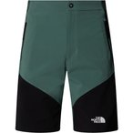 The North Face Felik Slim Tapered  Herren  Kurze Hosen gruen Größe L Alpinklet