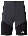 The North Face Herren Felik Slim Tapered Shorts 32