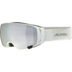 ALPINA Herren Brille DOUBLE JACK MAG Q, Größe ONE SIZE in Silber