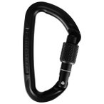 Wild Country - Session Screw Gate - Schraubkarabiner schwarz
