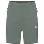 JACK WOLFSKIN Herren Shorts HIKEOUT SHORTS M, Größe 52 in Grau