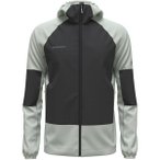 MAMMUT Herren Kapuzensweat Massone ML, Größe XXL in Silber