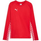 PUMA Herren Sweatshirt teamLIGA26 Training Sweat, Größe L in Rot