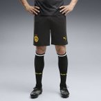 PUMA Herren Shorts BVB 26/27, Größe M in Silber