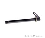 DT Swiss VR RWS 15x100mm Steckachse-Schwarz-One Size