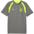 PUMA Herren Shirt BVB Training Jersey, Größe S in Grau