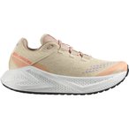 Salomon Aero Glide 3 GRVL  Damen  Trailrunningschuhe beige Größe 36.5  Laufen 