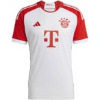 ADIDAS Herren Trikot FC Bayern München 23/24 Heim, Größe S in Grau