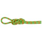Mammut - 8.0 Alpine Core Protect Dry Rope - Halbseil Länge 50 m grün