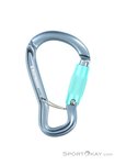 Black Diamond Gridlock Tripple Lock Karabiner-Grau-One Size