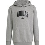 adidas Collegiate Graphic  Kinder  Hoodies grau Größe 116 Lifestyle  Hautfreun