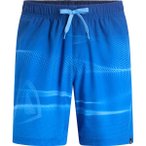 FIREFLY Herren Badeshorts He.-Badeshorts Lucio M Corporate Digital, Größe S in