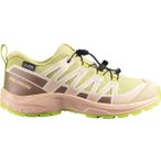 SALOMON Kinder Halbschuhe SHOES XA PRO V8 WP J Endive/Burro/Almond, Größe 31 i