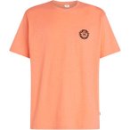 O'NEILL Herren Shirt SLUB BACK PRINT T-SHIRT, Größe M in Orange