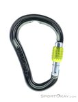 DMM Shadow HMS-Karabiner-Grau-One Size