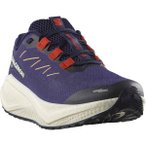 SALOMON Herren Laufschuhe SHOES AERO BLAZE 3 GRVL Astral/Mar Bl/Ha, Größe 43 �