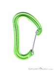 Edelrid Nineteen G Schnappkarabiner-Hell-Grün-One Size