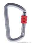 LACD Biner Screw 80mm Schraubkarabiner-Grau-One Size