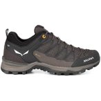 SALEWA Herren Wanderschuhe "Mountain Trainer Lite Gore-Tex", Größe 42 in Bunt