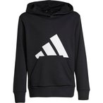 adidas BIG LOGO Hoodie Jungen