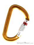 Petzl Sm'D Screw-Lock Karabiner-Orange-One Size