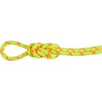 Mammut 9.5 Alpine Core Protect Dry Kletterseil  Kletterseile gelb Größe 80M Al